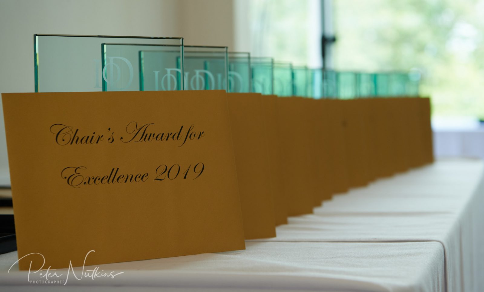 IoD Director of the Year 2019
